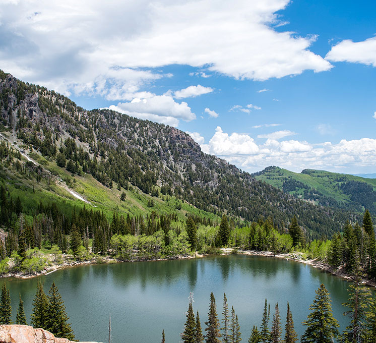 /American Fork, UT